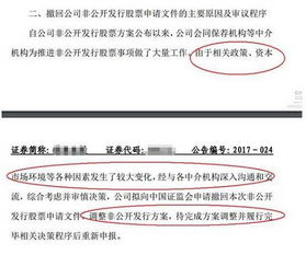 新規收緊減持，定增市場陷寒冬 撤回、終止、破發與融資驟降，非融資性擔保業務迎來考驗
