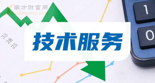 2024年 技術服務概念股票是哪些 利好什么股票 9月13日
